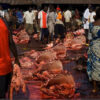 Jigawa council renovates abbatoir to boost meat production