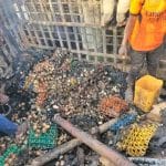 Traders count losses as fire razes Gombe market