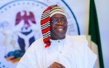 2027: 1,000 PDP groups endorse Tinubu's re-election, call Wike 'great asset'