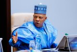 Cabal fought Tinubu on fuel subsidy removal, but he didn't budge - Shettima