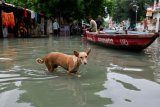 100 Missing After Flash Flood Washes Out Indian Himalayan Town