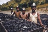 The forest is paying, but Nigeria isn’t collecting