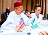 UNGA 80: FG Showcases Nigeria’s $200bn Energy Transition To Investors