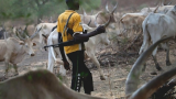 FULL LIST: Top 5 deadliest gunmen attacks in Benue State