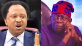 Shehu Sani urges North to back Tinubu for South-West’s 8-year presidency