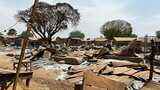 Nigeria sees more armed attacks on three villages, dozens killed