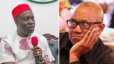 Any politician pledging to serve for one term should be sent to psychiatric home - Soludo