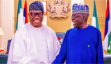 Prevail on Sani Musa to vie for APC chairman seat - Group urges Tinubu, Akpabio